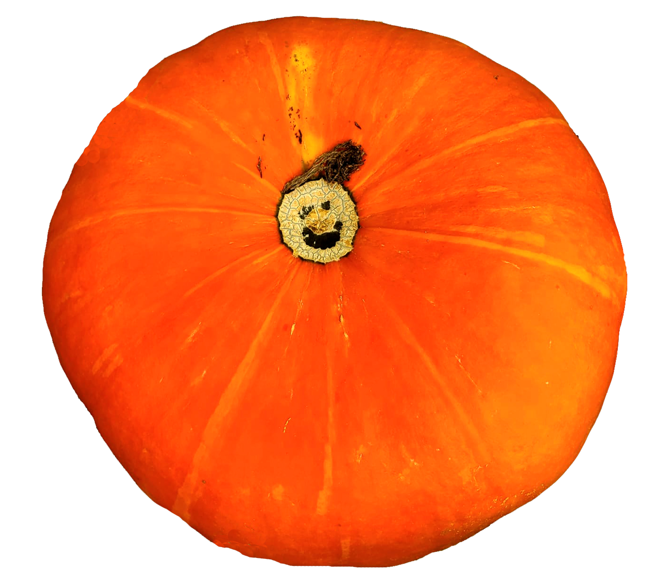 Logo GAEC D'Une Pierre Deux Courges